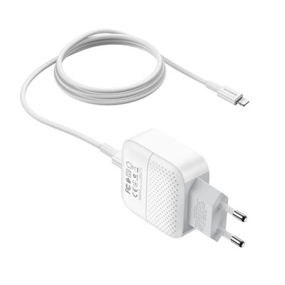 Зарядное устройство BOROFONE BA46A Premium PD + QC3.0 (Type-C to Lightning) White (BA46ACLW) BA46ACLW фото
