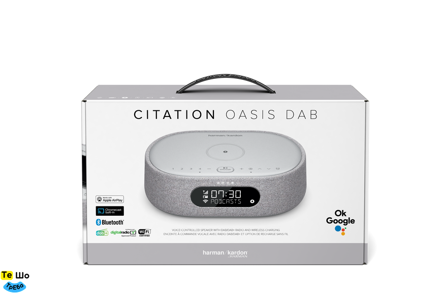 Моноблочна акустична система Harman-Kardon Citation Oasis FM Grey HKCITAOASISFMGRYEP фото