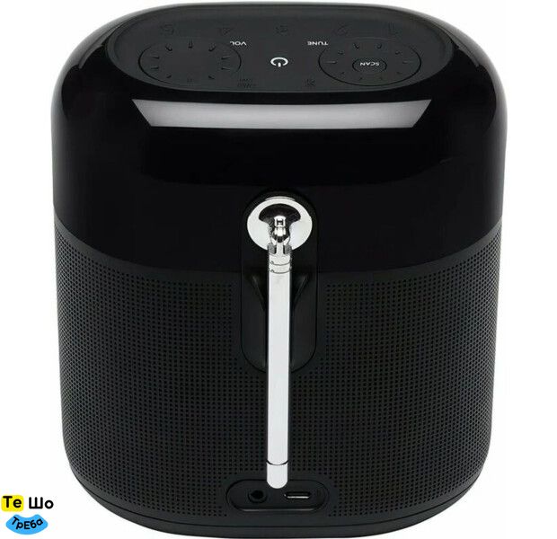 Портативна колонка JBL Tuner XL Black JBLTUNERXLBLKEU фото